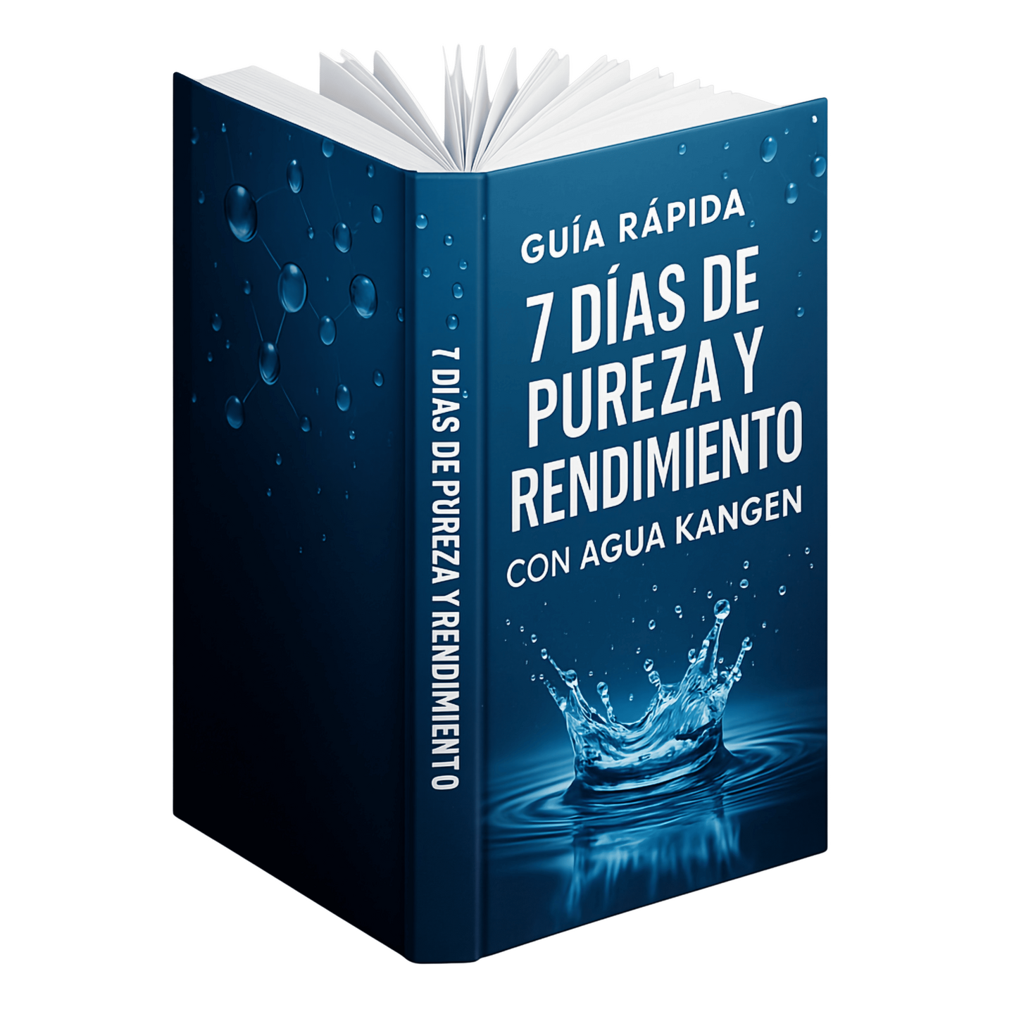 Guía Rápida